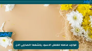 فوائد مذهلة للفلفل الأسود يكشفها أخصائي الآن